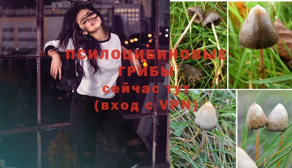 сатива Алексеевка