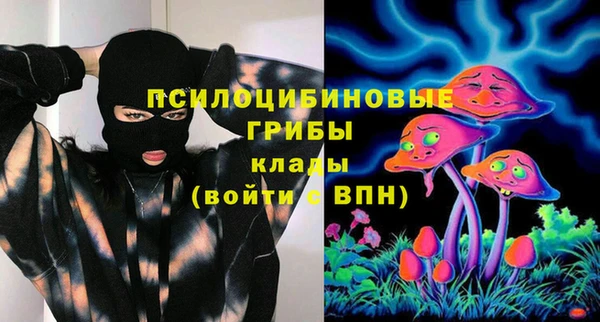ПСИЛОЦИБИНОВЫЕ ГРИБЫ Алзамай