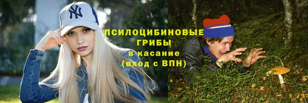 сатива Алексеевка