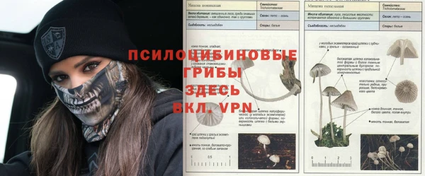 ПСИЛОЦИБИНОВЫЕ ГРИБЫ Алзамай